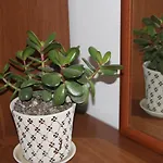 Bledi\'S Cozy Apartment In New Blvd